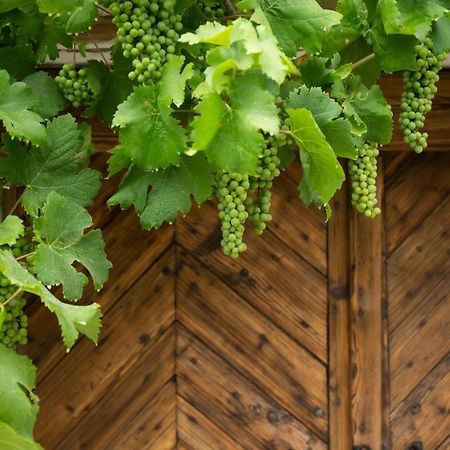 Vinonima Vendégház Hegymagas Exterior foto