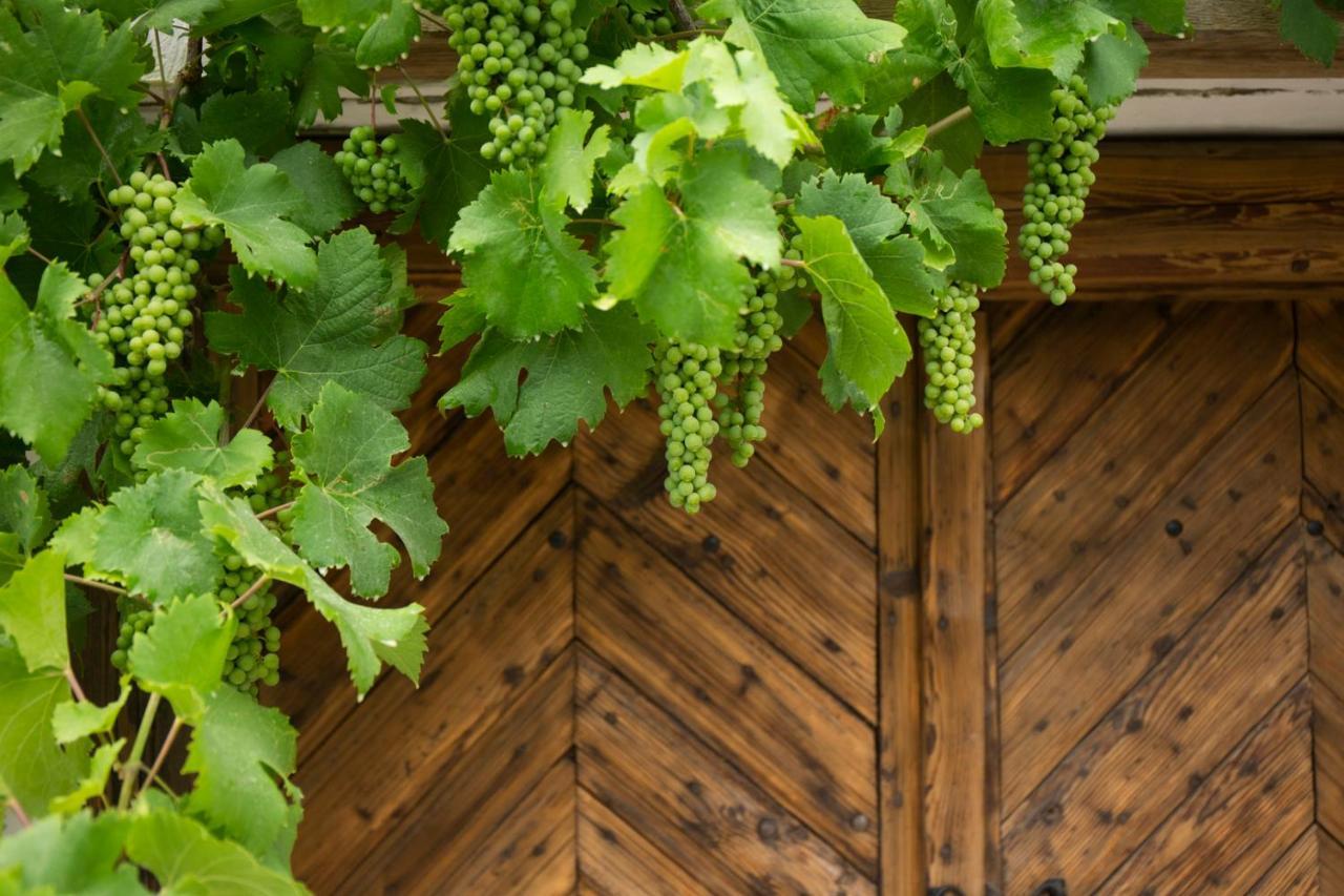 Vinonima Vendégház Hegymagas Exterior foto