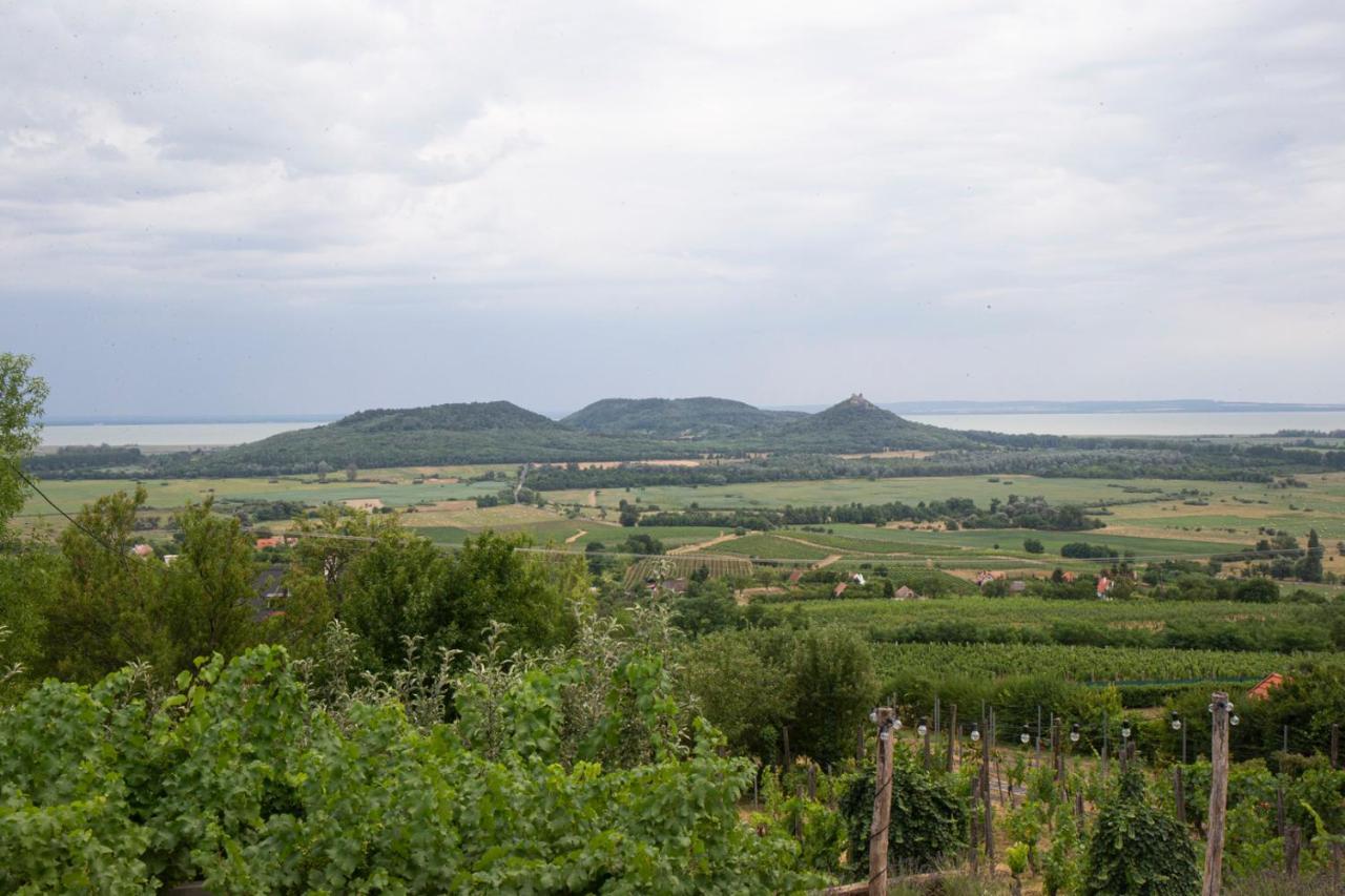 Vinonima Vendégház Hegymagas Exterior foto